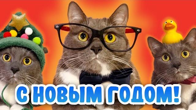 КОТИКИ ПРАЗДНУЮТ НОВЫЙ ГОД! КОТИКИ ПРАЗДНУЮТ НОВЫЙ ГОД!