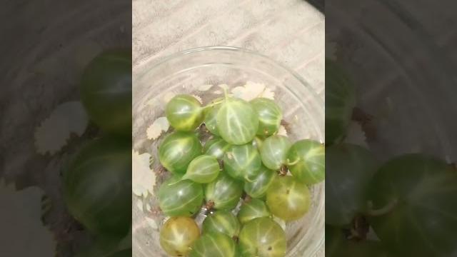 видео отстает от звука видео отстает от звука