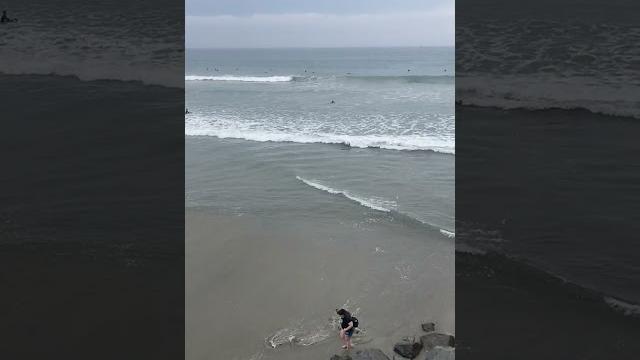 Visiting the Oceanside Pier | California Beach Vibes | California Love #shorts #oceanside #usa Visiting the Oceanside Pier | California Beach Vibes | California Love #shorts #oceanside #usa