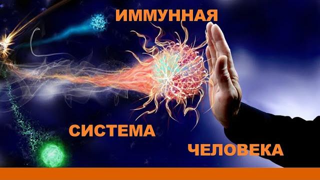 ИММУННАЯ СИСТЕМА ЧЕЛОВЕКА ИММУННАЯ СИСТЕМА ЧЕЛОВЕКА