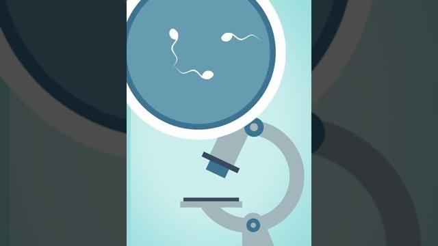 The Most Common Cause of Male Infertility The Most Common Cause of Male Infertility
