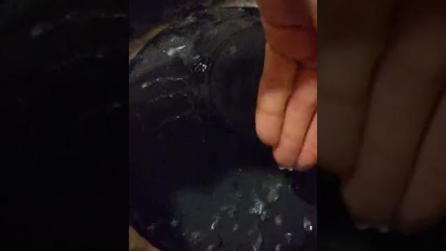 Как с гуся вода !!! Как с гуся вода !!!