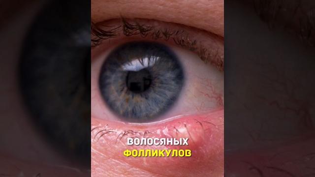 Просто о ячмене #shorts Просто о ячмене #shorts