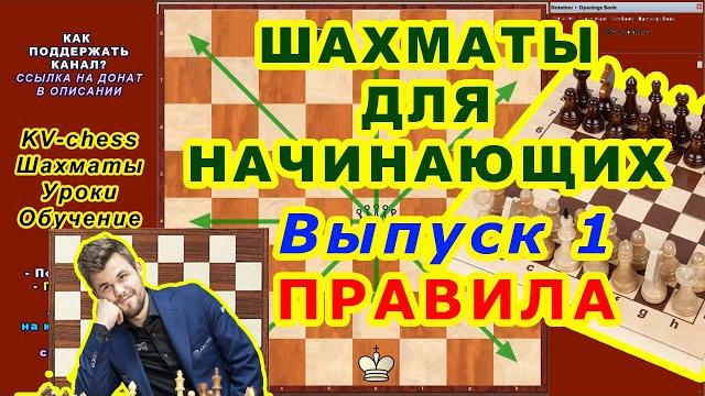 ШАХМАТЫ УРОКИ ОБУЧЕНИЕ ДЛЯ НАЧИНАЮЩИХ онлайн ВИДЕО 1 Шахматные правила игры НАУЧИТЬСЯ САМОСТОЯТЕЛЬНО ШАХМАТЫ УРОКИ ОБУЧЕНИЕ ДЛЯ НАЧИНАЮЩИХ онлайн ВИДЕО 1 Шахматные правила игры НАУЧИТЬСЯ САМОСТОЯТЕЛЬНО