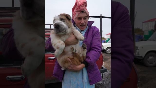 В ДЕТСТВЕ НЕСУ ДОМОЙ ДВОРОВУЮ СОБАКУ #Shorts В ДЕТСТВЕ НЕСУ ДОМОЙ ДВОРОВУЮ СОБАКУ #Shorts