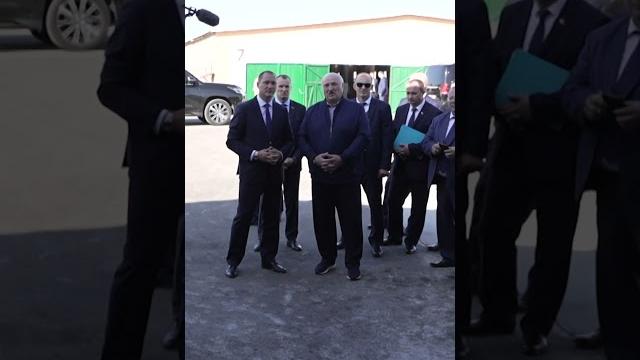 Лукашенко: Очень хорошо! Корове дворец не нужен, ей нужна простота! Вот просто и хорошо! #shorts Лукашенко: Очень хорошо! Корове дворец не нужен, ей нужна простота! Вот просто и хорошо! #shorts