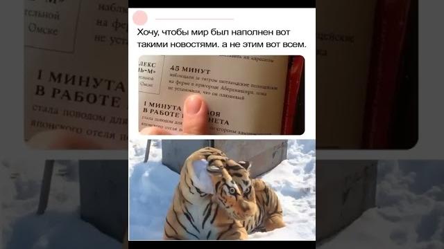 Мем про тигра Мем про тигра
