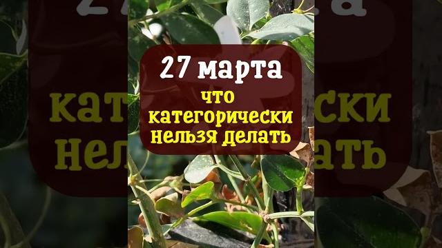 27 марта народный праздник Венедиктов день. Федоровская икона. Что нельзя делать. Народные приметы 27 марта народный праздник Венедиктов день. Федоровская икона. Что нельзя делать. Народные приметы