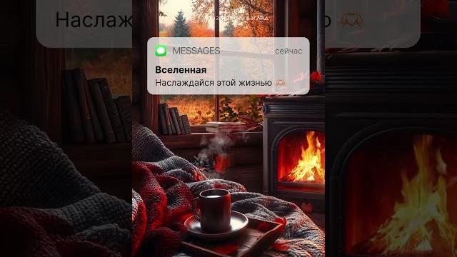 У вас одно новое сообщение У вас одно новое сообщение