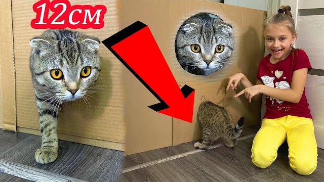 КОШКА ЛОЛА приколы и пранки с котами КОШКА ЛОЛА приколы и пранки с котами