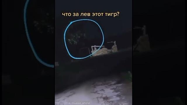 вселёлые качели вселёлые качели