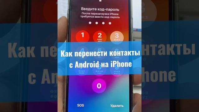Как перенсти контакты с Android на iPhone? Как перенсти контакты с Android на iPhone?