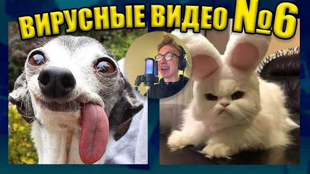 ВИРУСНЫЕ ВИДЕО / Подборка смешных моментов №6 ВИРУСНЫЕ ВИДЕО / Подборка смешных моментов №6