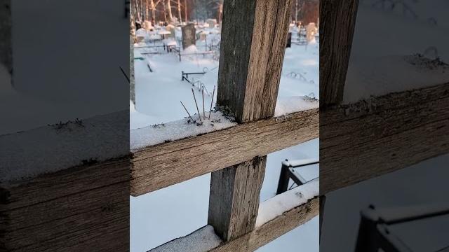 МОГИЛЬНЫЕ ИГЛЫ МОГИЛЬНЫЕ ИГЛЫ