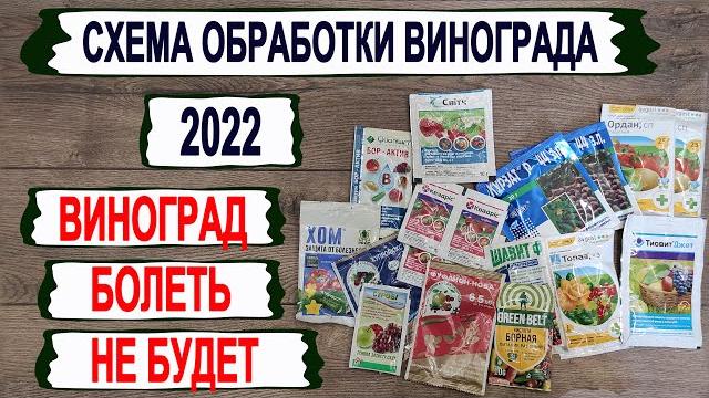 Виноград болеть не будет. Рабочая СХЕМА ОБРАБОТКИ от основных болезней из ДОСТУПНЫХ ПРЕПАРАТОВ. Виноград болеть не будет. Рабочая СХЕМА ОБРАБОТКИ от основных болезней из ДОСТУПНЫХ ПРЕПАРАТОВ.
