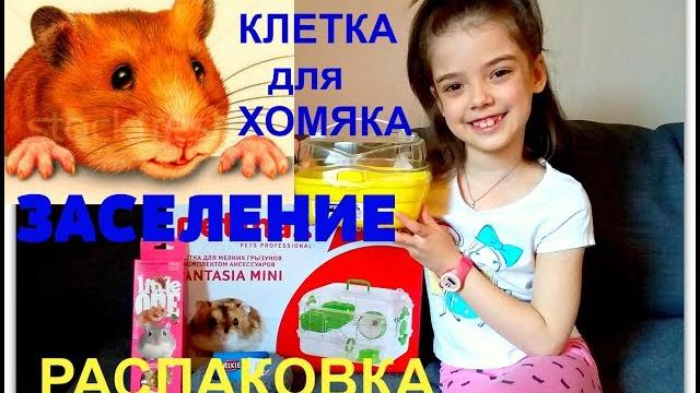 НОВЫЙ ПИТОМЕЦ/ ХОМЯК/Hamster/ ЗАСЕЛЕНИЕ хомяка в КЛЕТКУ/СМЕШНОЕ ВИДЕО про хомяка для детей/Good toys НОВЫЙ ПИТОМЕЦ/ ХОМЯК/Hamster/ ЗАСЕЛЕНИЕ хомяка в КЛЕТКУ/СМЕШНОЕ ВИДЕО про хомяка для детей/Good toys