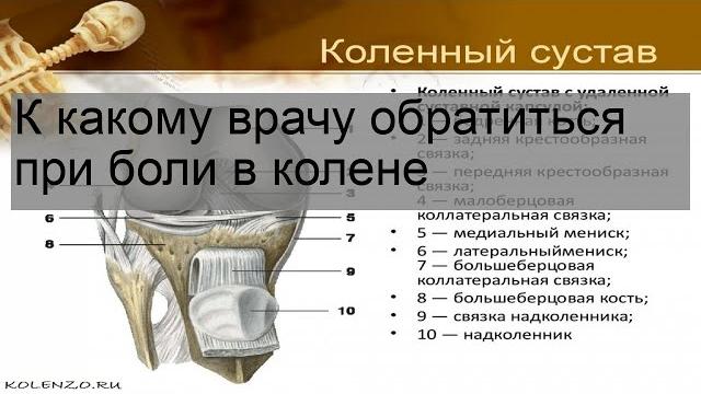 К какому врачу обратиться при боли в колене К какому врачу обратиться при боли в колене