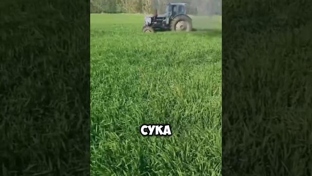 Глохни дебил!!! #сельхозтехника #трактор Глохни дебил!!! #сельхозтехника #трактор