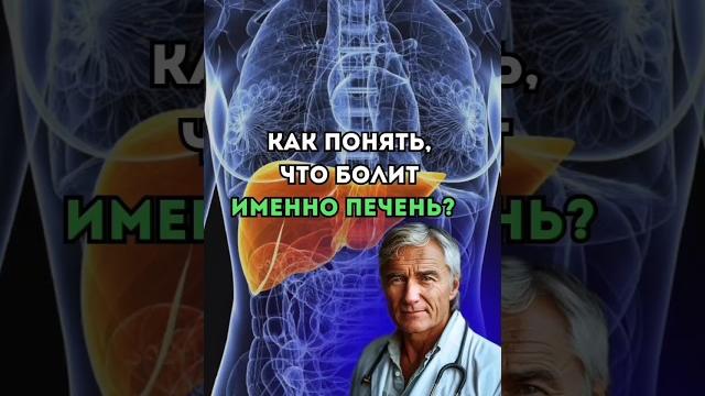 как понять что болит именно печень как понять что болит именно печень