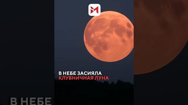 В небе появилась «клубничная» Луна — редкое и по-настоящему магическое зрелище. : @talashin В небе появилась «клубничная» Луна — редкое и по-настоящему магическое зрелище. : @talashin