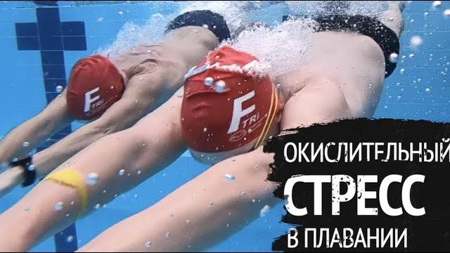 Окислительный стресс в плавании. Что это такое? Окислительный стресс в плавании. Что это такое?