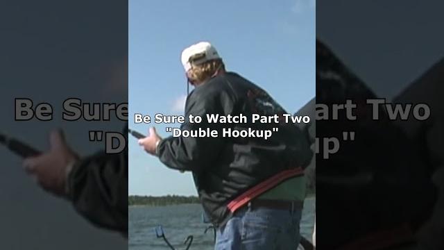 Monster of the Deep Part One #shorts Monster of the Deep Part One #shorts