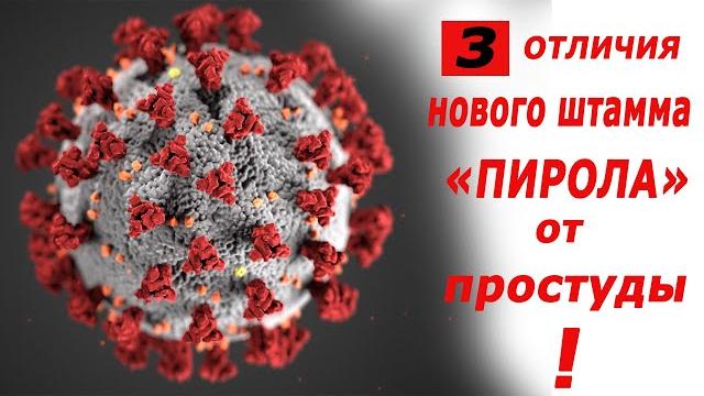 Отличия коронавируса "Пирола" от простуды! Отличия коронавируса "Пирола" от простуды!