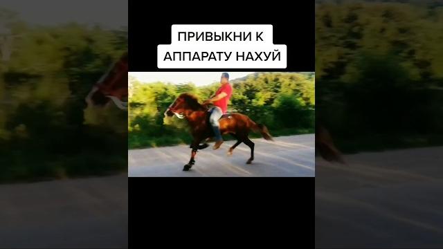 ПРИВЫКНИ К АППАРАТУ! ПРИВЫКНИ К АППАРАТУ!