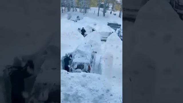 Циклон Ваня Циклон Ваня
