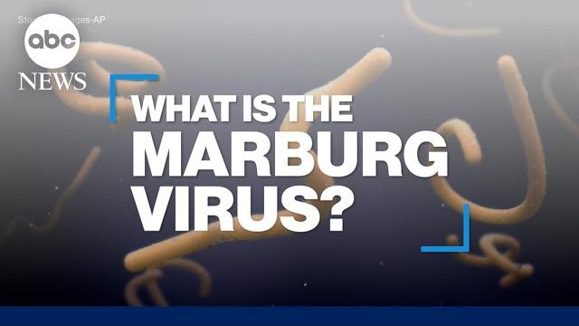 What is the Marburg virus disease? What is the Marburg virus disease?