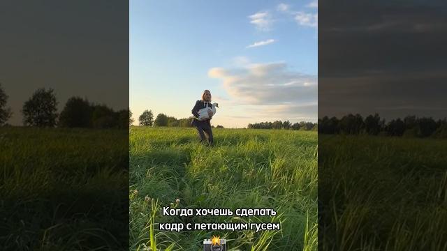 Фотосессия с гусем Фотосессия с гусем