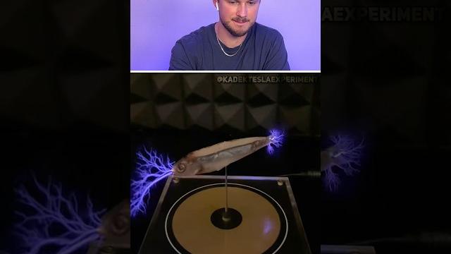 Don't Laugh | 59 @kadekteslaexperiment Don't Laugh | 59 @kadekteslaexperiment