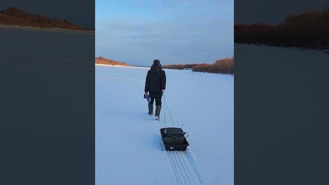 Кто куда, а мы на рыбалку. #shorts Кто куда, а мы на рыбалку. #shorts