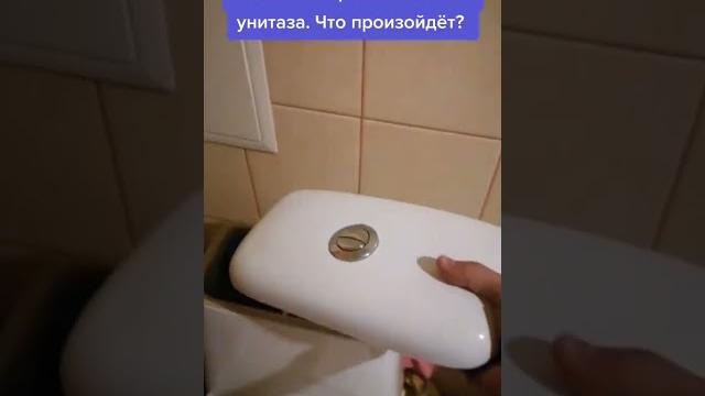 Что будет, если насыпать порошок в бачок унитаза? Что будет, если насыпать порошок в бачок унитаза?