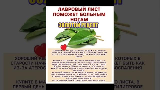 ЛАВРОВЫЙ ЛИСТ СНИМАЕТ БОЛЬ В СУСТАВАХ #полезныесоветы #здоровье #советыдляздоровья #женскоездоровье ЛАВРОВЫЙ ЛИСТ СНИМАЕТ БОЛЬ В СУСТАВАХ #полезныесоветы #здоровье #советыдляздоровья #женскоездоровье