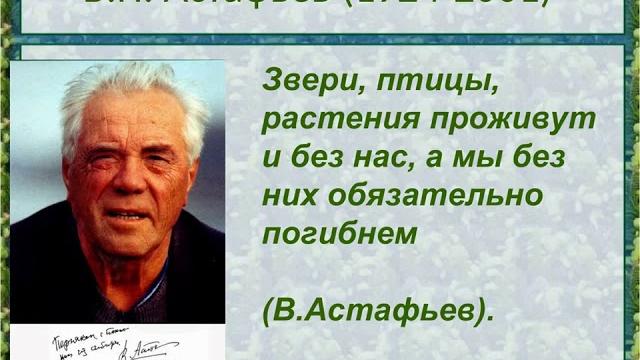 Зачем я убил коростеля? Зачем я убил коростеля?