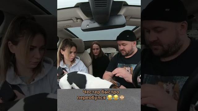 Заправились на 8.300р. Реакция жены. Инста: miha.marchenko Заправились на 8.300р. Реакция жены. Инста: miha.marchenko