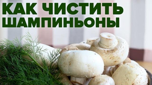 Как чистить шампиньоны перед готовкой Как чистить шампиньоны перед готовкой