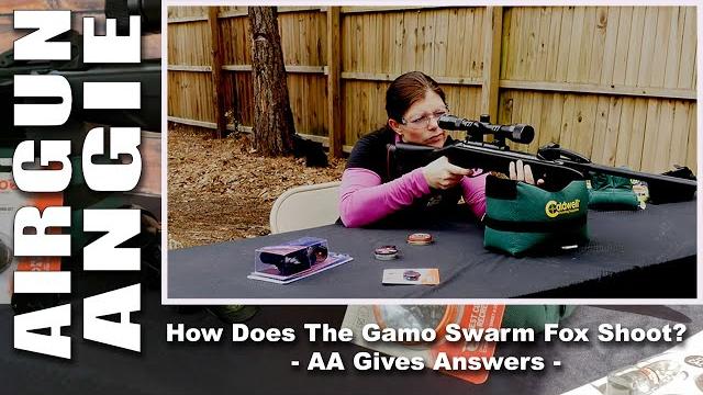 How Does The Gamo Fox Shoot? AA Gives Answers How Does The Gamo Fox Shoot? AA Gives Answers