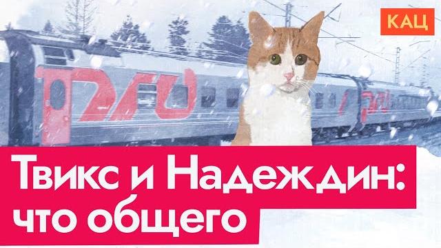 Кот Твикс и кандидат Надеждин | Twix the Cat and Nadezhdin the Candidate (English subtitles) Кот Твикс и кандидат Надеждин | Twix the Cat and Nadezhdin the Candidate (English subtitles)