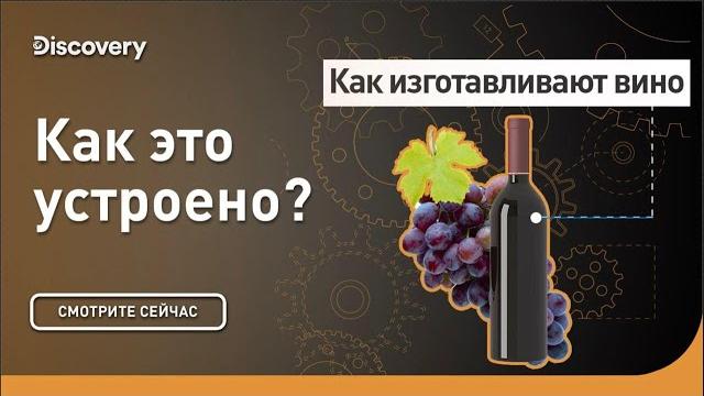Как изготавливают вино | Как это сделано? | Discovery Channel Как изготавливают вино | Как это сделано? | Discovery Channel