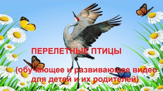 Перелетные птицы Обучающее видео для детей Перелетные птицы Обучающее видео для детей