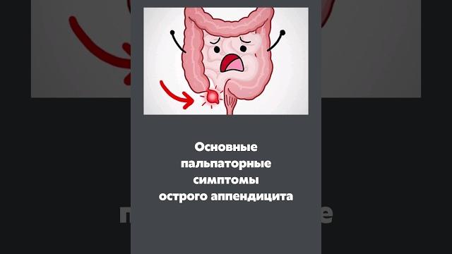 5 симптомов аппендицита при пальпации живота | Основные симптомы аппендицита | Первые признаки 5 симптомов аппендицита при пальпации живота | Основные симптомы аппендицита | Первые признаки