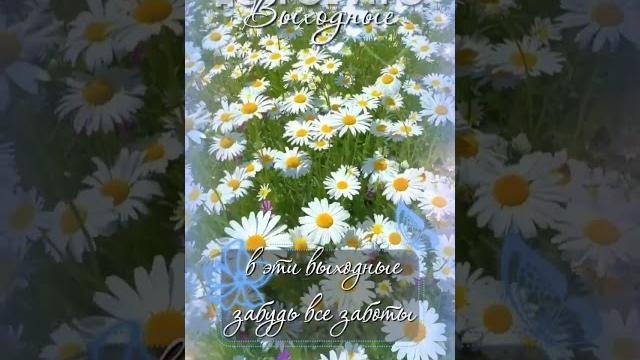 Доброе утро, дорогие друзья! Желаю вам чудесного начала дня, наполненного радостью и позитивом! Доброе утро, дорогие друзья! Желаю вам чудесного начала дня, наполненного радостью и позитивом!
