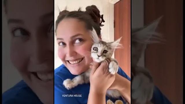#рилс #рилсы #youtube #youtuber #reels #youtubeshort #reelsvideo #video #видео #видеоприколы #рилс #рилсы #youtube #youtuber #reels #youtubeshort #reelsvideo #video #видео #видеоприколы