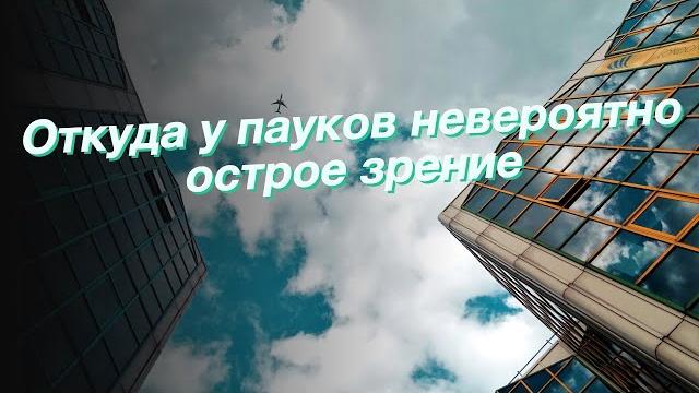 Откуда у пауков невероятно острое зрение Откуда у пауков невероятно острое зрение