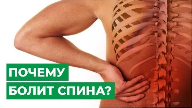 Почему болит спина? Почему болит спина?
