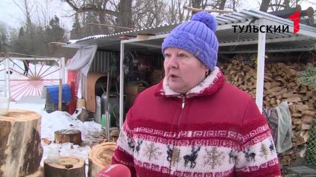 Тульские снежные блохи. Тульские снежные блохи.