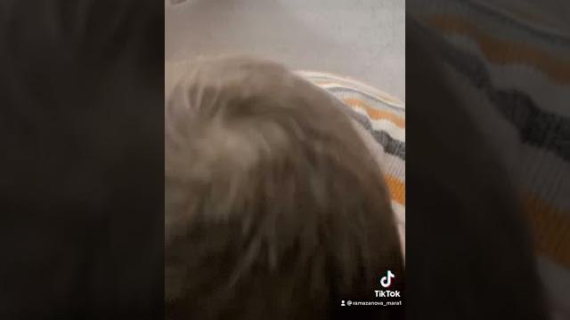 Смешные видео , дети Смешные видео , дети