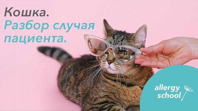 Аллергия на кошек Аллергия на кошек
